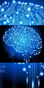 BRILL Enterprise Development Neural Advancement Mental Development