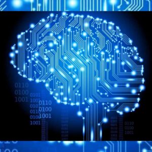 BRILL Enterprise Development Neural Advancement Mental Development