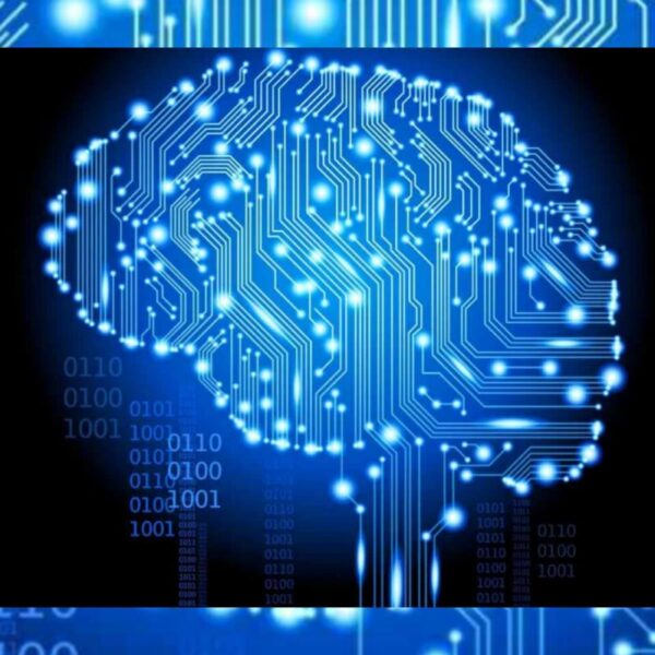 BRILL Enterprise Development Neural Advancement Mental Development